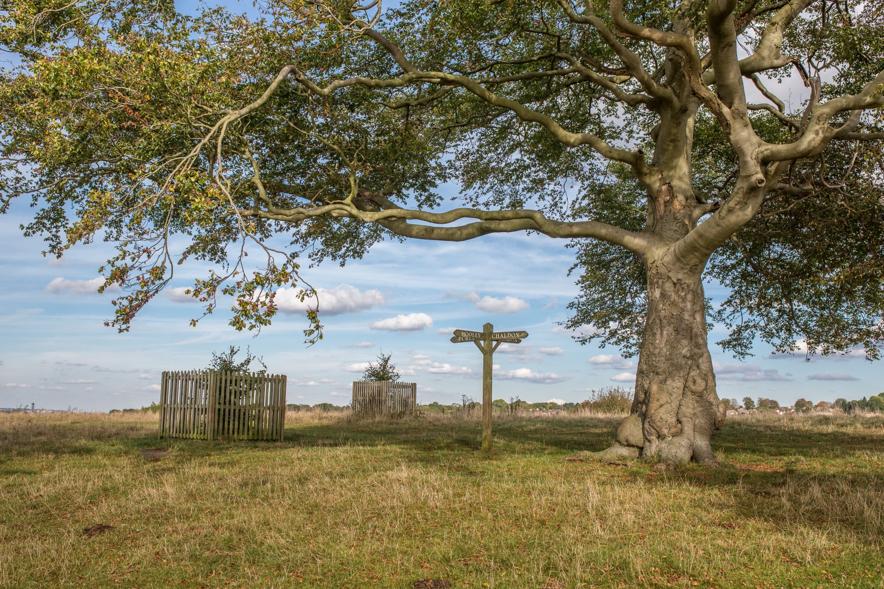 Volunteering opportunity at ancient monument Farthing Downs