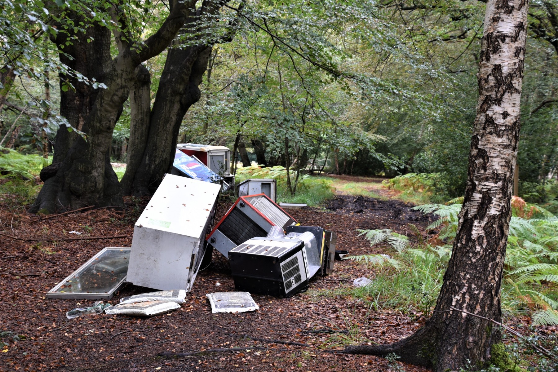 City Corporation warns against fly tipping at Epping Forest during