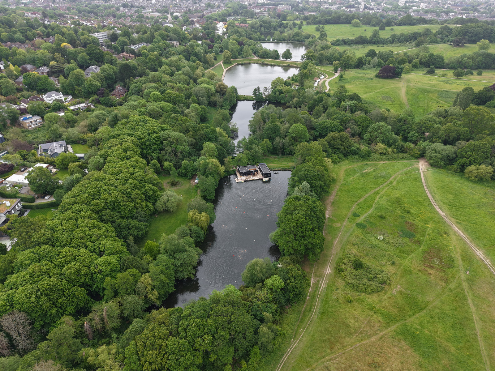 Hampstead Heath Ponds