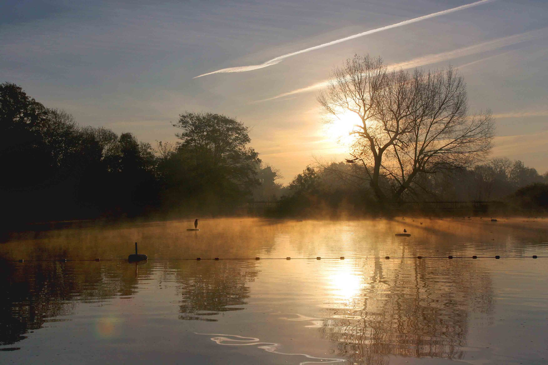 Hampstead Heath Bathing Ponds Consultation now closed Hampstead Heath Bathing Ponds Consultation now closed
